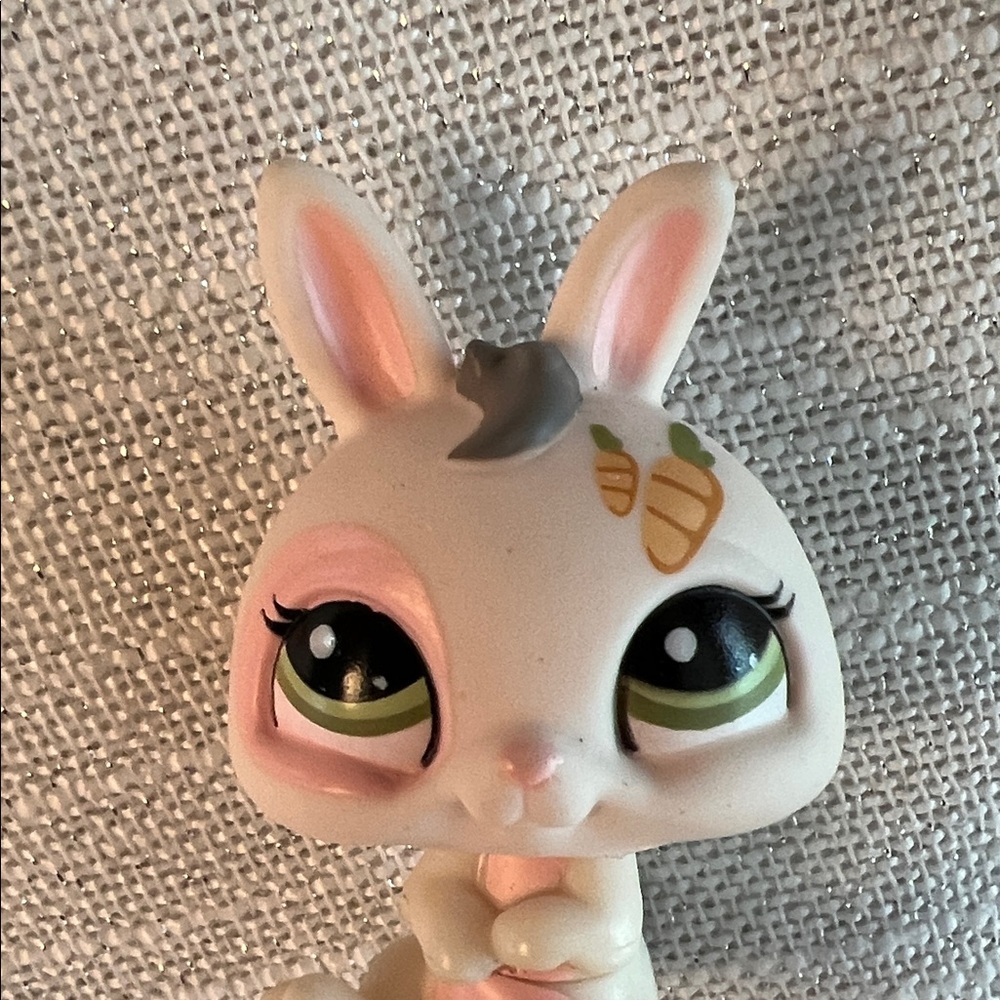 Authentic Littlest Pet Shop LPS Bunny Rabbit #1855 Blythe Carrot accessories inc - Picture 11 of 12